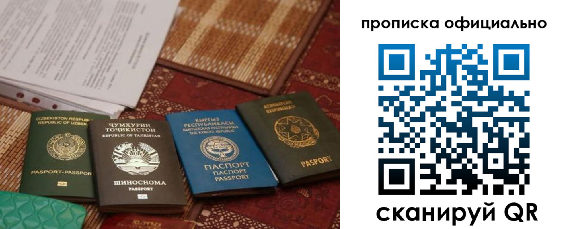 где прописаться в Фролово