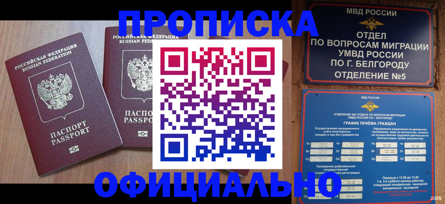 найти адрес прописки в Фролово